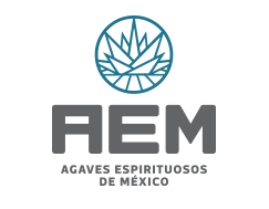 Agaves espirituosos de México